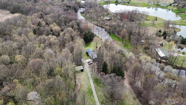 8869 E Hawley Rd, Hesperia, MI 49421 - aerial view of property's location with a large body of water and a forest