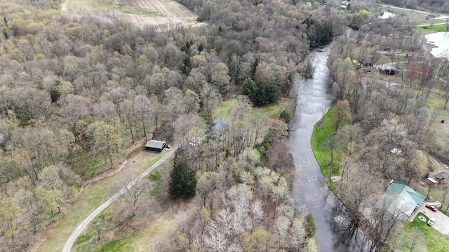 8869 E Hawley Rd, Hesperia, MI 49421 - aerial view of property and surrounding area featuring a forest
