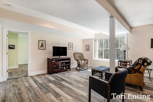 1026 Grosvenor Dr Unit 27, Greenville, MI 48838 - living area featuring wood finished floors and baseboards