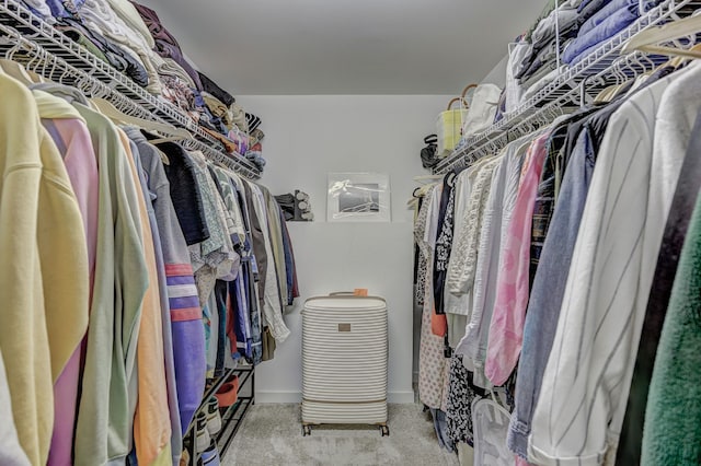 111 N Main St Unit 209, Royal Oak, MI 48067 - walk in closet featuring carpet