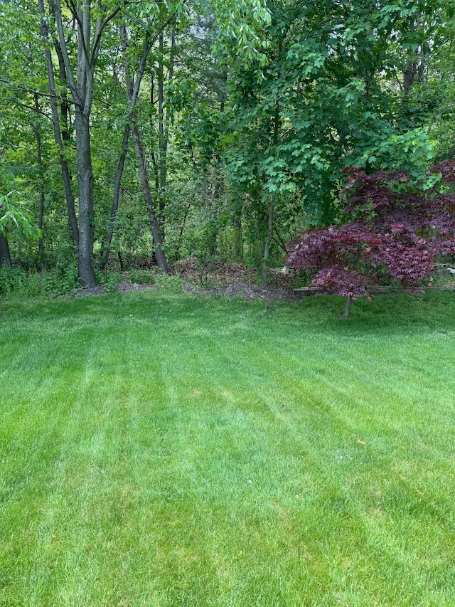 137 Donna, Waterford, MI 48327 - view of green lawn