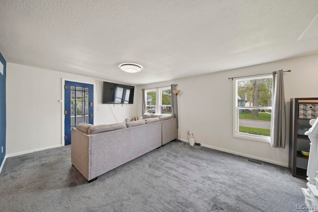carpeted living area featuring a textured ceiling, healthy amount of natural light, and baseboards