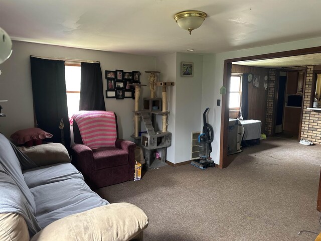 132903 Lea Dr, Marion, MI 49665 - photo 24