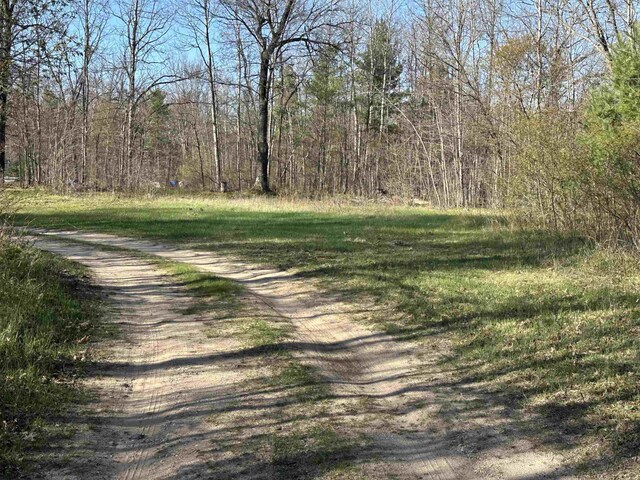 132903 Lea Dr, Marion, MI 49665 - photo 52