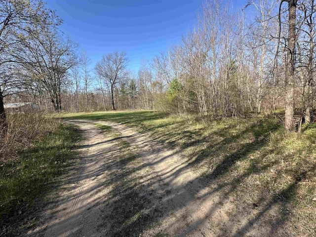132903 Lea Dr, Marion, MI 49665 - photo 53