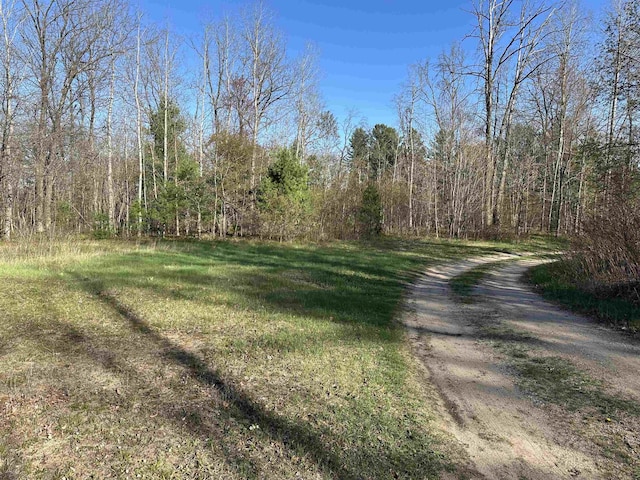 132903 Lea Dr, Marion, MI 49665 - photo 54