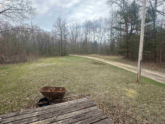 132903 Lea Dr, Marion, MI 49665 - photo 59