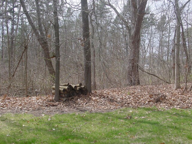 10832 Eagle Cove Dr, South Lyon, MI 48178 - view of yard with a view of trees