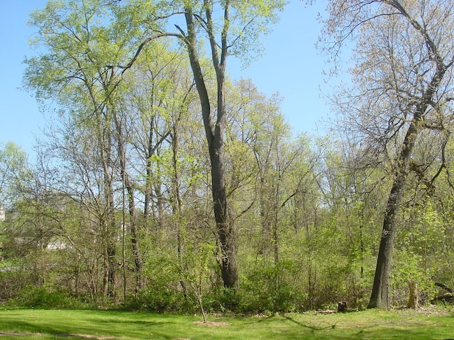 10832 Eagle Cove Dr, South Lyon, MI 48178 - view of tree filled area