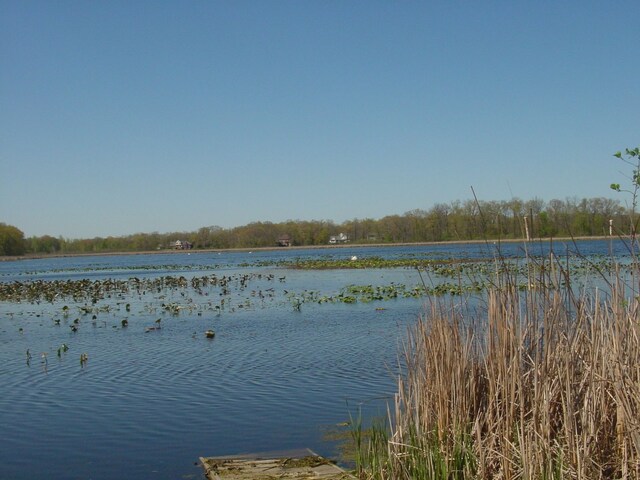 10832 Eagle Cove Dr, South Lyon, MI 48178 - water view