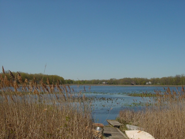 10832 Eagle Cove Dr, South Lyon, MI 48178 - water view featuring a dock