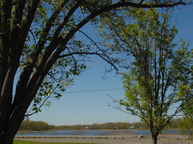 10832 Eagle Cove Dr, South Lyon, MI 48178 - water view