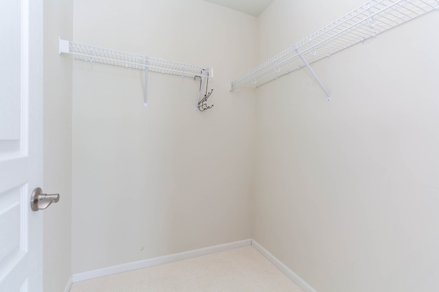 951 Barclay Cir Unit 48, Rochester Hills, MI 48307 - walk in closet with light carpet