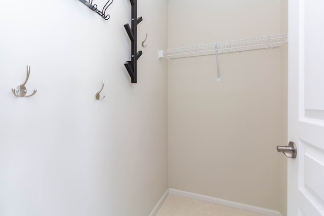 951 Barclay Cir Unit 48, Rochester Hills, MI 48307 - view of walk in closet