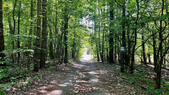 1821 W Hansen Rd, Scottville, MI 49454 - view of dirt / gravel road with a wooded view