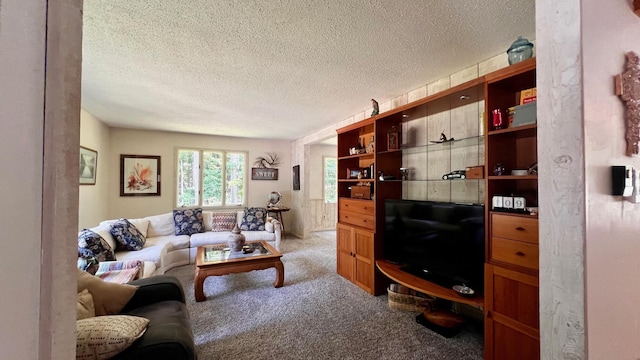 1821 W Hansen Rd, Scottville, MI 49454 - carpeted living area with a textured ceiling