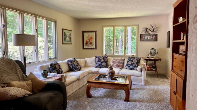 1821 W Hansen Rd, Scottville, MI 49454 - carpeted living area with plenty of natural light and a textured ceiling