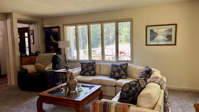 1821 W Hansen Rd, Scottville, MI 49454 - living room featuring carpet, healthy amount of natural light, baseboards, and a textured ceiling