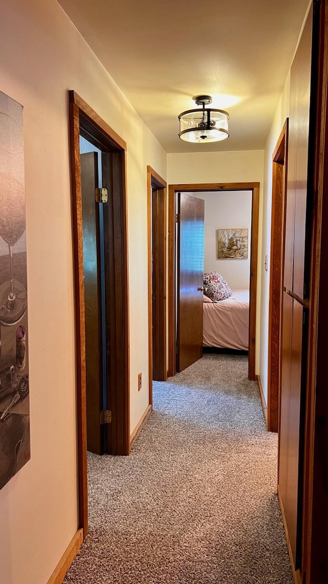 1821 W Hansen Rd, Scottville, MI 49454 - hall featuring carpet floors and baseboards