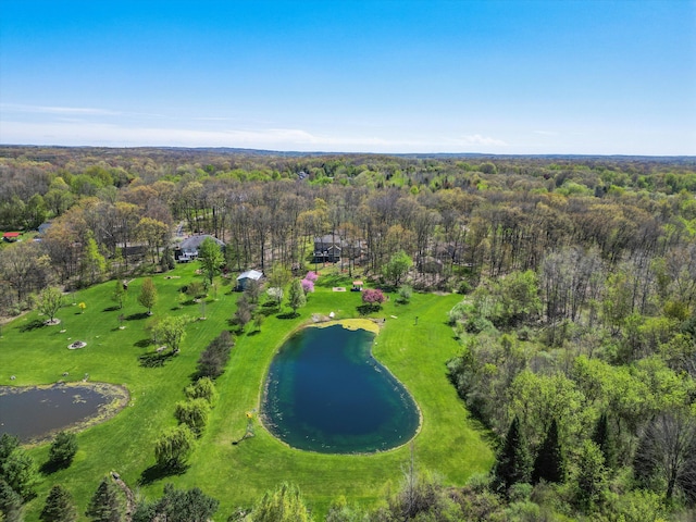 7111 Tucker Rd, Holly, MI 48442 - aerial view of a forest and a nearby body of water