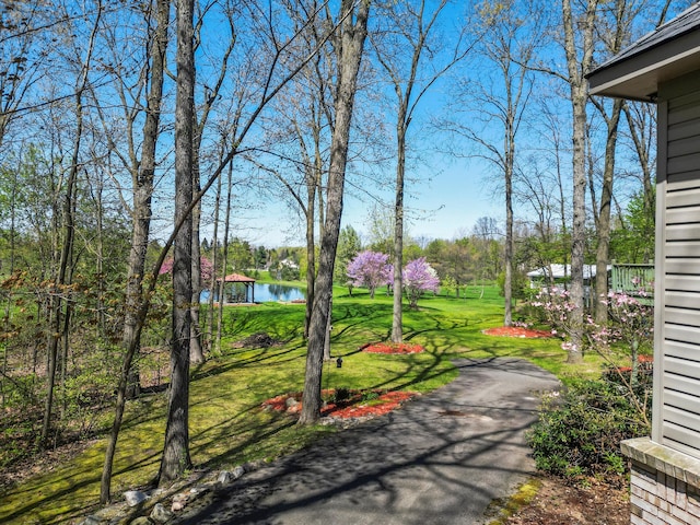 7111 Tucker Rd, Holly, MI 48442 - view of grassy yard with a water view