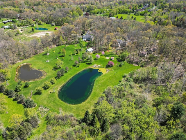 7111 Tucker Rd, Holly, MI 48442 - bird's eye view of a large body of water and a heavily wooded area
