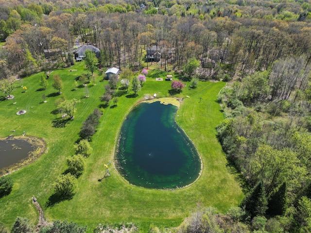 7111 Tucker Rd, Holly, MI 48442 - drone / aerial view of a nearby body of water and a heavily wooded area