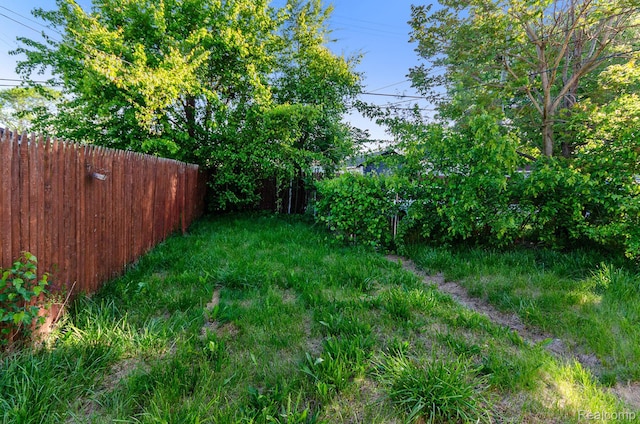 54 W Rockwood St, Ecorse, MI 48229 - view of yard