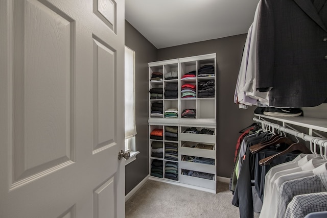 walk in closet featuring carpet floors