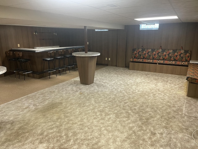 950 Raymond St, Ann Arbor, MI 48103 - indoor dry bar featuring carpet floors, wood walls, and a drop ceiling