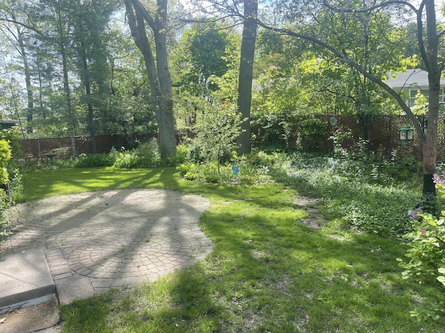 950 Raymond St, Ann Arbor, MI 48103 - view of yard with a patio area