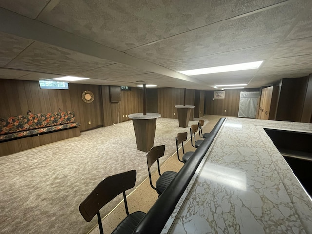 950 Raymond St, Ann Arbor, MI 48103 - bar area with wooden walls and carpet