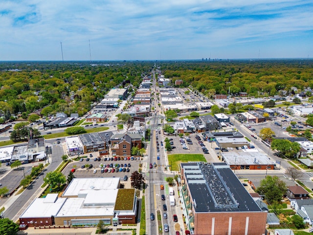 363 Vester St, Ferndale, MI 48220 - drone / aerial view