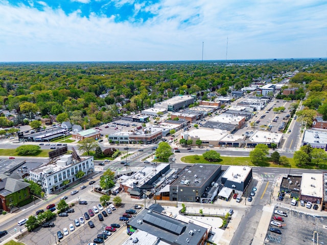363 Vester St, Ferndale, MI 48220 - aerial view