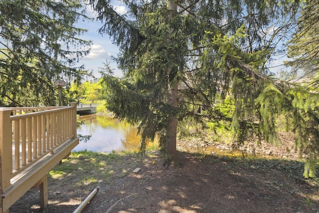 view of yard with a water view