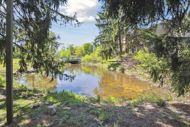 water view