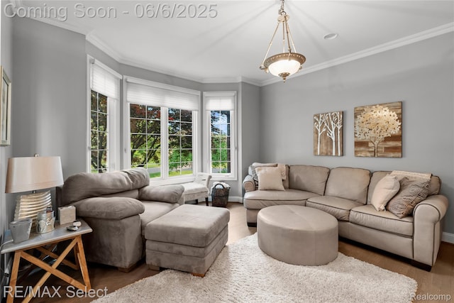 8320 Misty Mdws, Grand Blanc, MI 48439 - living area featuring wood finished floors, ornamental molding, and baseboards