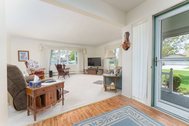 3683 Elmwood, Vassar, MI 48768 - living room featuring wood finished floors