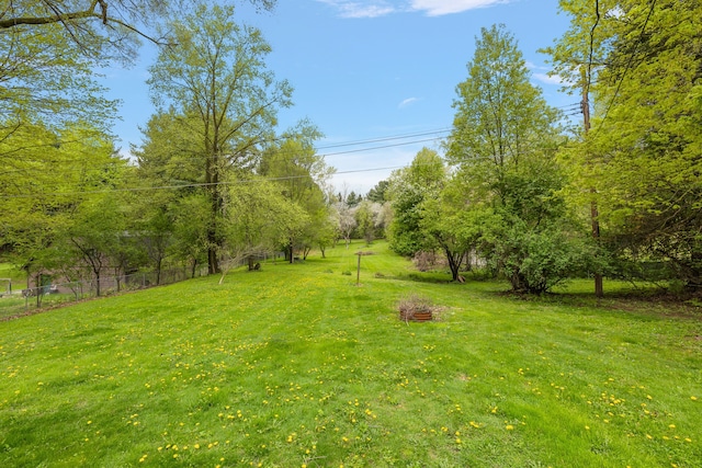 1090 S Williams Lake Rd, White Lake, MI 48386 - view of yard