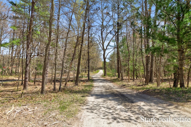3339 N Weber Rd, Muskegon, MI 49445 - view of dirt / gravel road featuring a wooded view