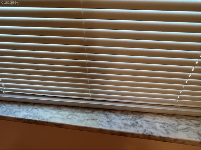 11520 Engleside St, Detroit, MI 48205 - detailed view of radiator heating unit