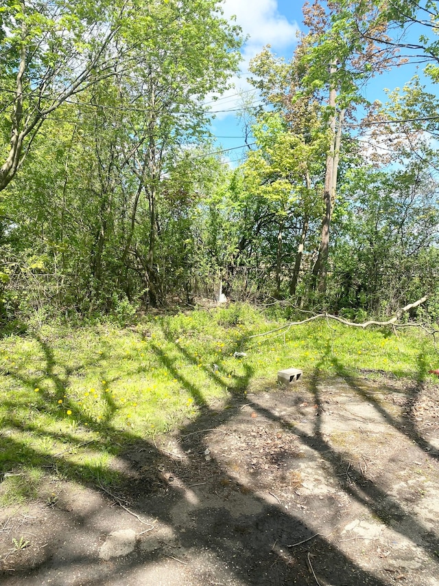 1622 Barbara Dr, Flint, MI 48504 - view of yard