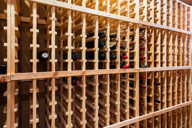 1303 Towsley Ln, Ann Arbor, MI 48105 - view of wine room