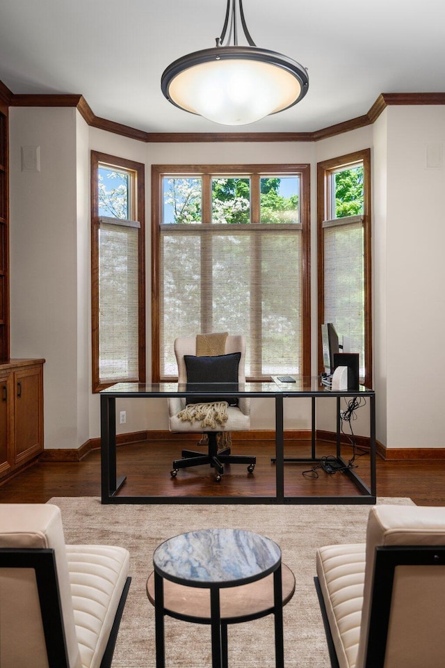1303 Towsley Ln, Ann Arbor, MI 48105 - home office featuring wood finished floors, ornamental molding, and baseboards