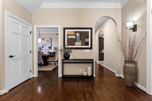 1303 Towsley Ln, Ann Arbor, MI 48105 - hall with arched walkways, ornamental molding, baseboards, and dark wood finished floors