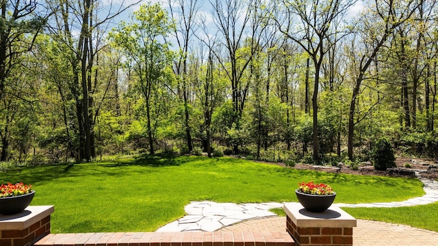 1303 Towsley Ln, Ann Arbor, MI 48105 - view of grassy yard