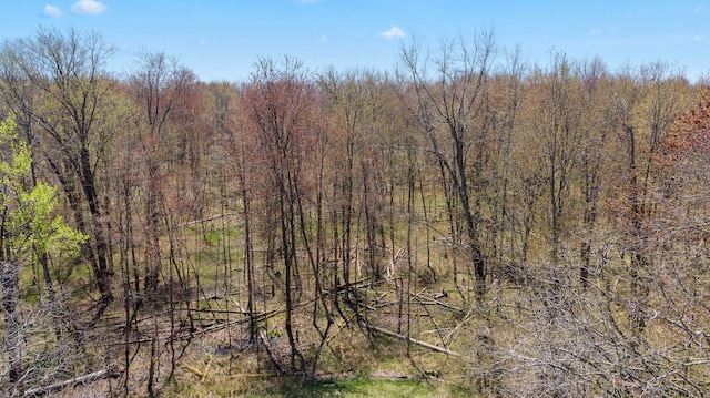 view of tree filled area