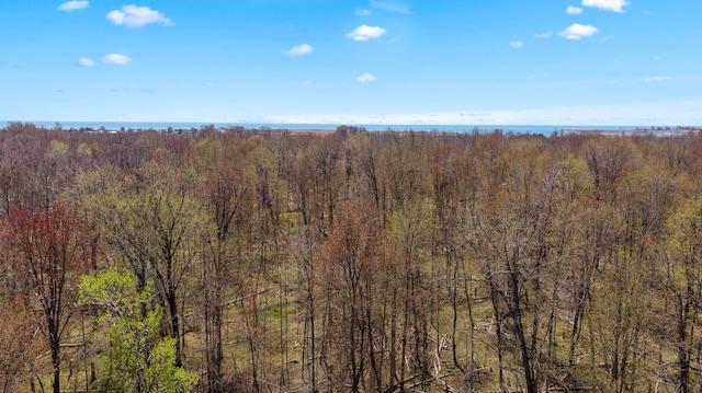 view of woods