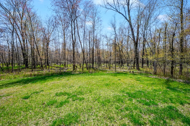 view of grassy yard