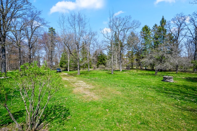 view of grassy yard